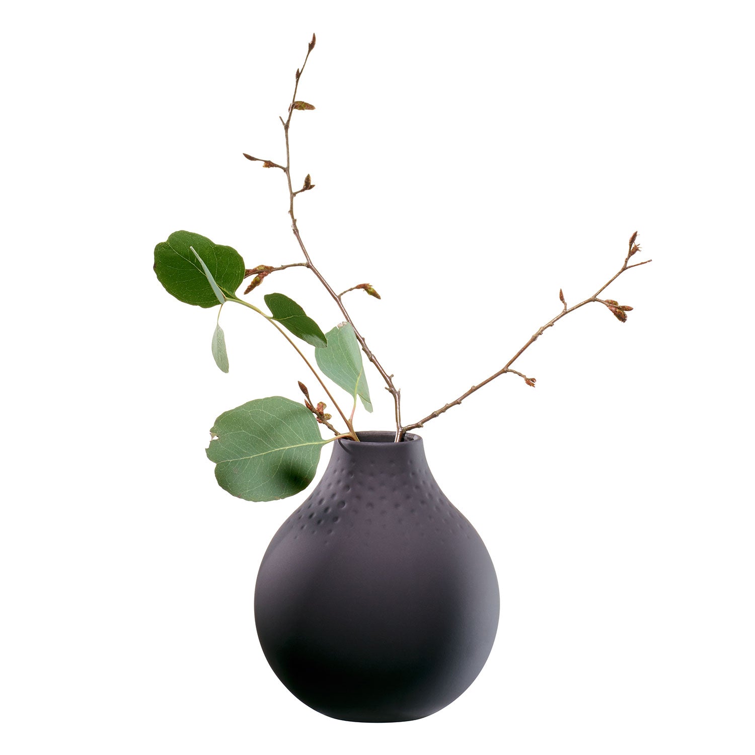 コリエ ノワール パールベース S